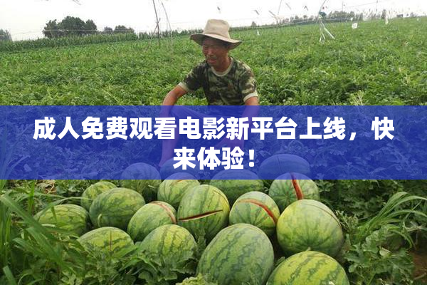 成人免费观看电影新平台上线，快来体验！