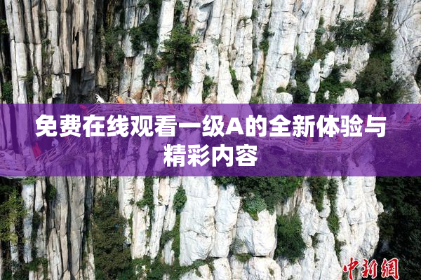 免费在线观看一级A的全新体验与精彩内容