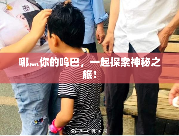 哪灬你的鸣巴，一起探索神秘之旅！