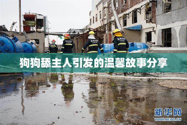 狗狗舔主人引发的温馨故事分享