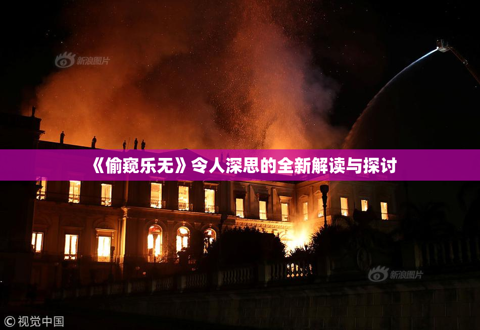 《偷窥乐无》令人深思的全新解读与探讨