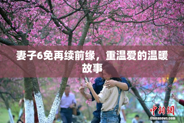 妻子6免再续前缘，重温爱的温暖故事