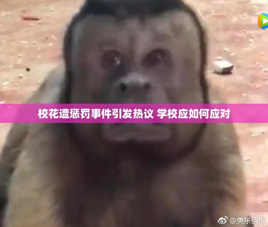 校花遭惩罚事件引发热议 学校应如何应对