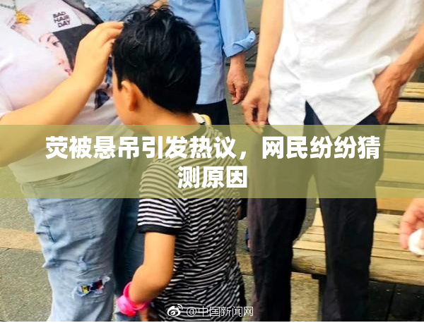 荧被悬吊引发热议，网民纷纷猜测原因