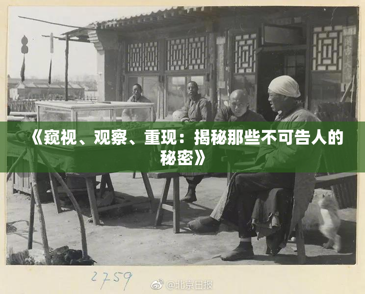 《窥视、观察、重现：揭秘那些不可告人的秘密》