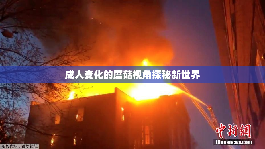 成人变化的蘑菇视角探秘新世界
