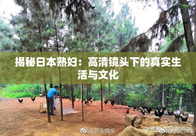 揭秘日本熟妇：高清镜头下的真实生活与文化