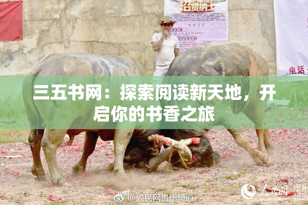 三五书网：探索阅读新天地，开启你的书香之旅
