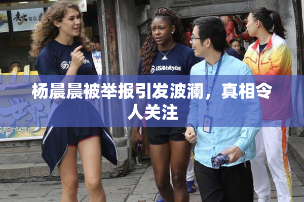 杨晨晨被举报引发波澜，真相令人关注