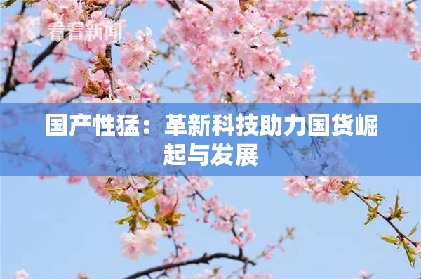 国产性猛：革新科技助力国货崛起与发展