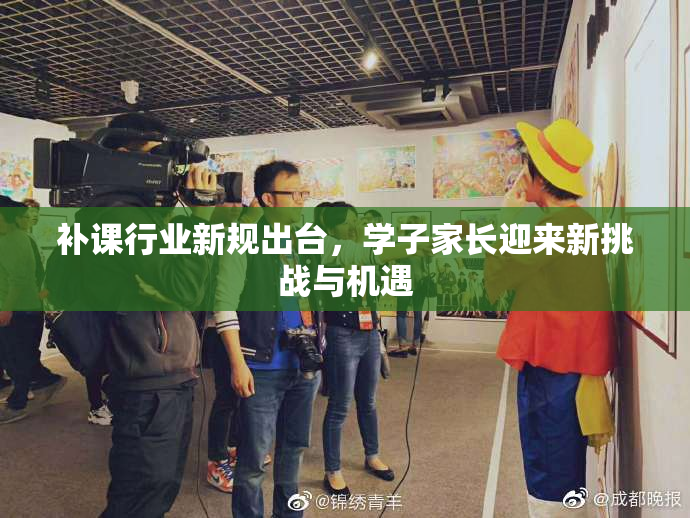 补课行业新规出台，学子家长迎来新挑战与机遇