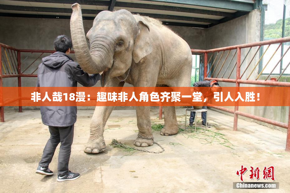 非人哉18漫：趣味非人角色齐聚一堂，引人入胜！