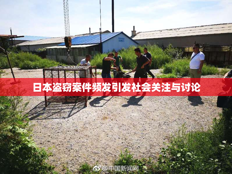 日本盗窃案件频发引发社会关注与讨论