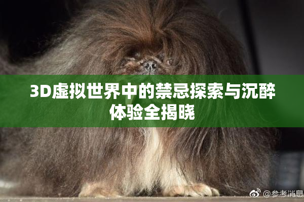 3D虚拟世界中的禁忌探索与沉醉体验全揭晓