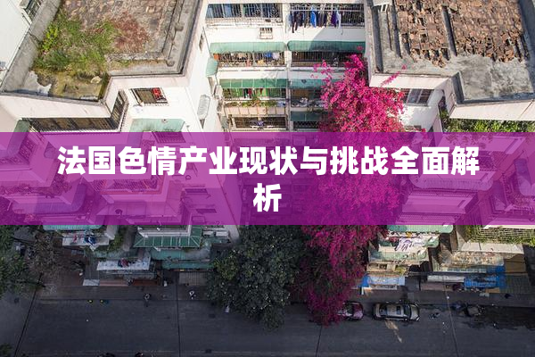 法国色情产业现状与挑战全面解析