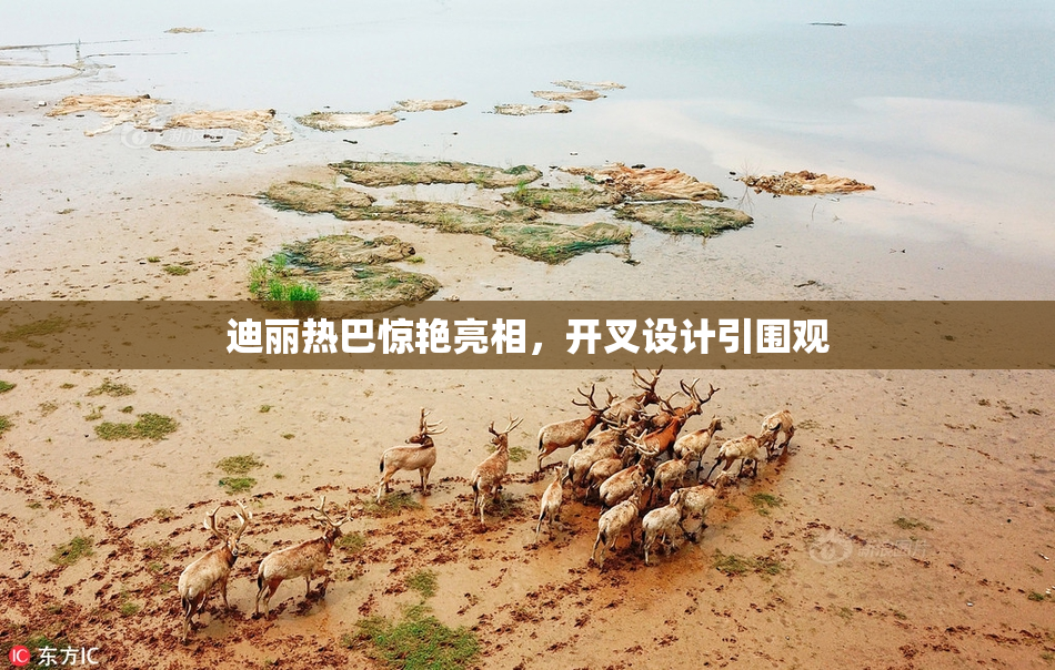 迪丽热巴惊艳亮相，开叉设计引围观