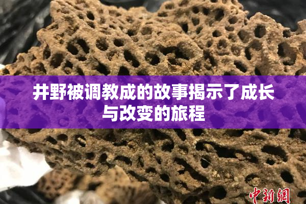 井野被调教成的故事揭示了成长与改变的旅程