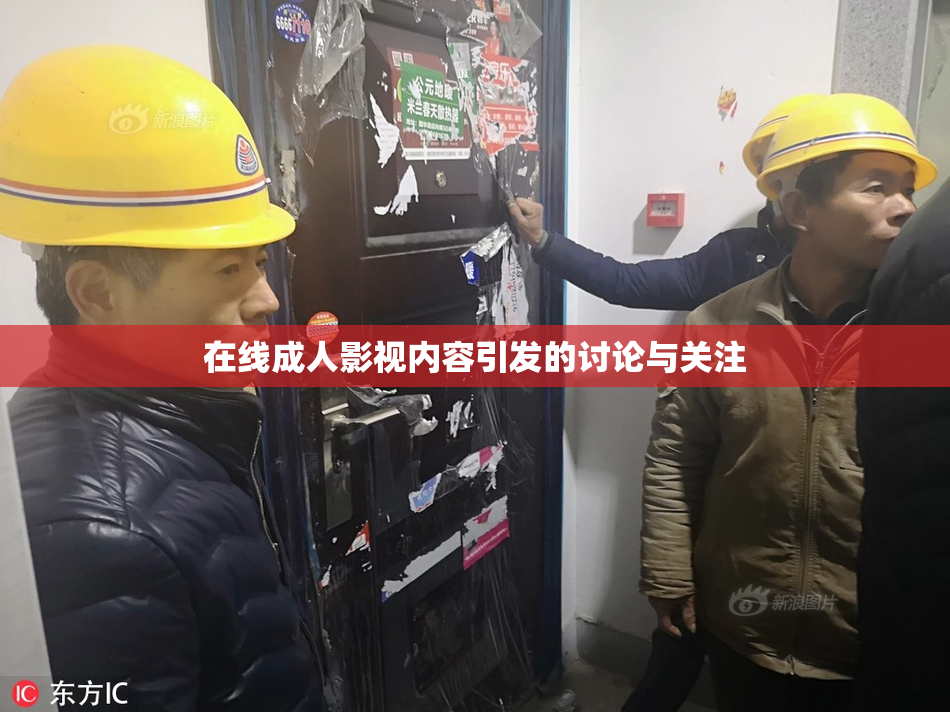 在线成人影视内容引发的讨论与关注