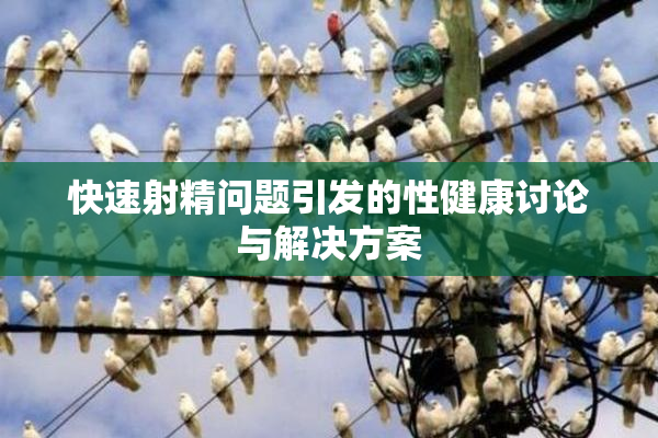 快速射精问题引发的性健康讨论与解决方案