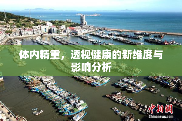 体内精重，透视健康的新维度与影响分析