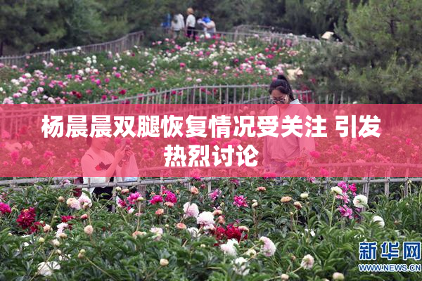 杨晨晨双腿恢复情况受关注 引发热烈讨论