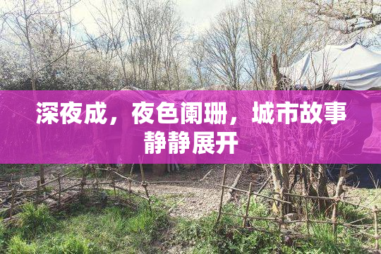 深夜成，夜色阑珊，城市故事静静展开