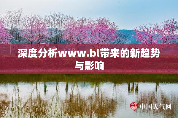 深度分析www.bl带来的新趋势与影响
