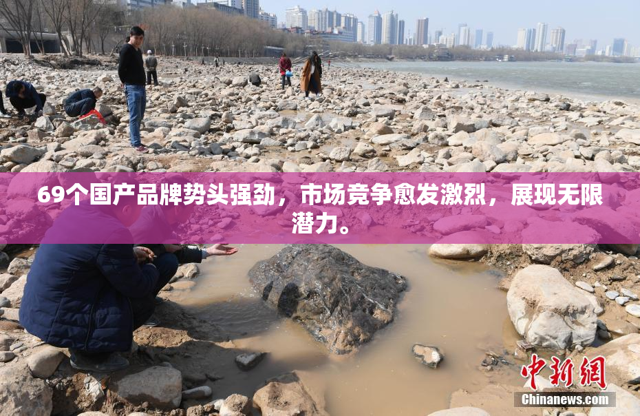 69个国产品牌势头强劲，市场竞争愈发激烈，展现无限潜力。