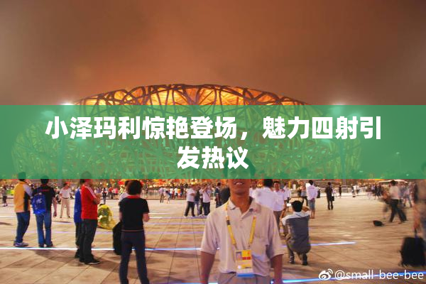小泽玛利惊艳登场，魅力四射引发热议