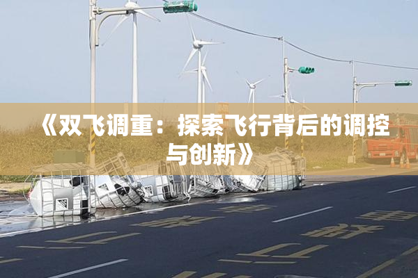 《双飞调重：探索飞行背后的调控与创新》