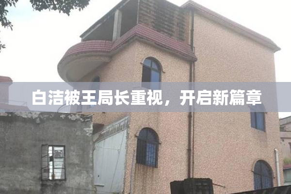 白洁被王局长重视，开启新篇章