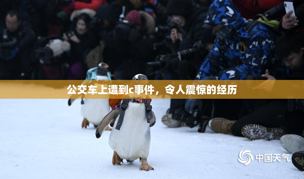 公交车上遭到c事件，令人震惊的经历