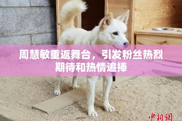 周慧敏重返舞台，引发粉丝热烈期待和热情追捧