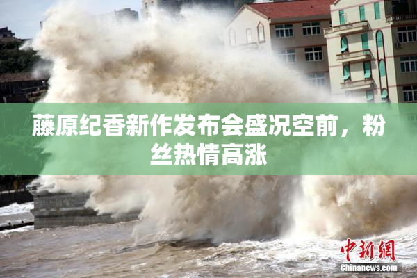 藤原纪香新作发布会盛况空前，粉丝热情高涨