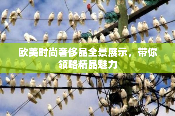 欧美时尚奢侈品全景展示，带你领略精品魅力