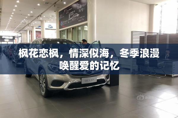 枫花恋枫，情深似海，冬季浪漫唤醒爱的记忆