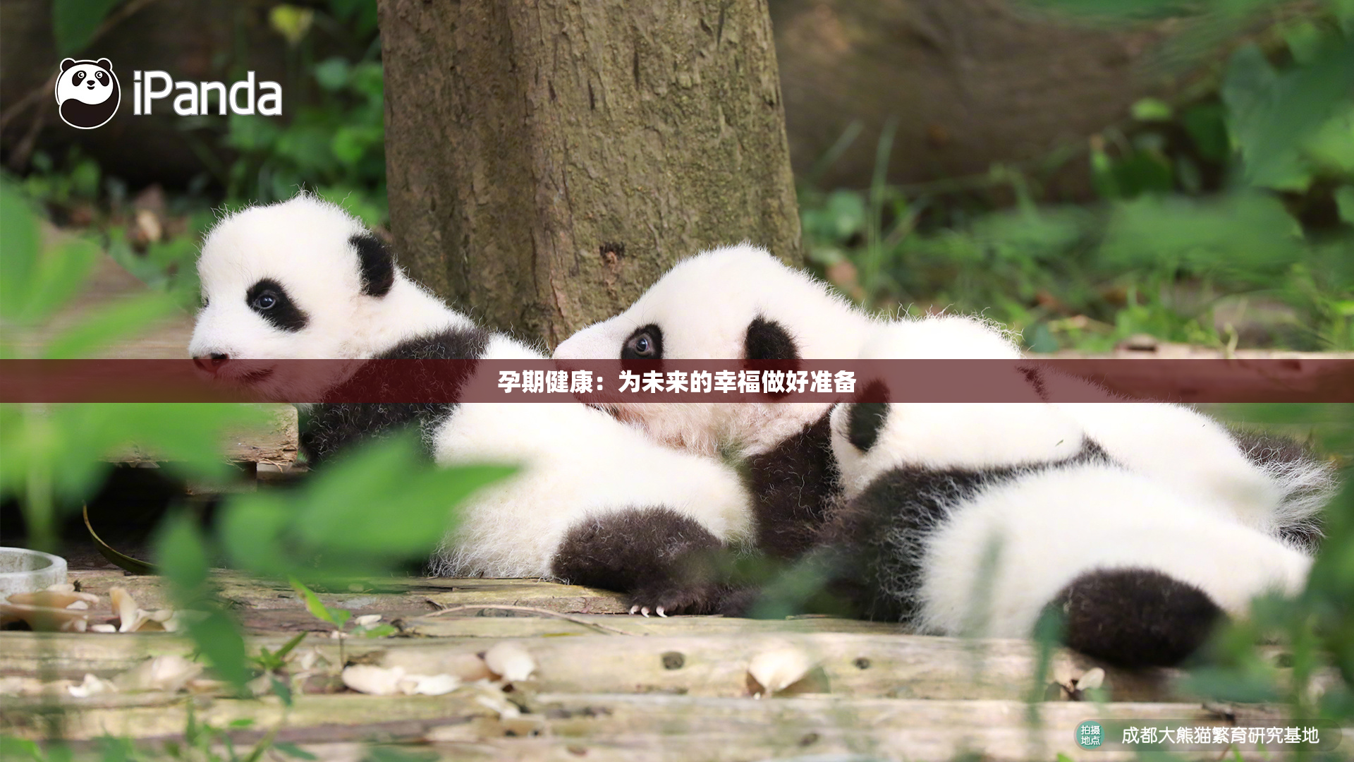 孕期健康：为未来的幸福做好准备