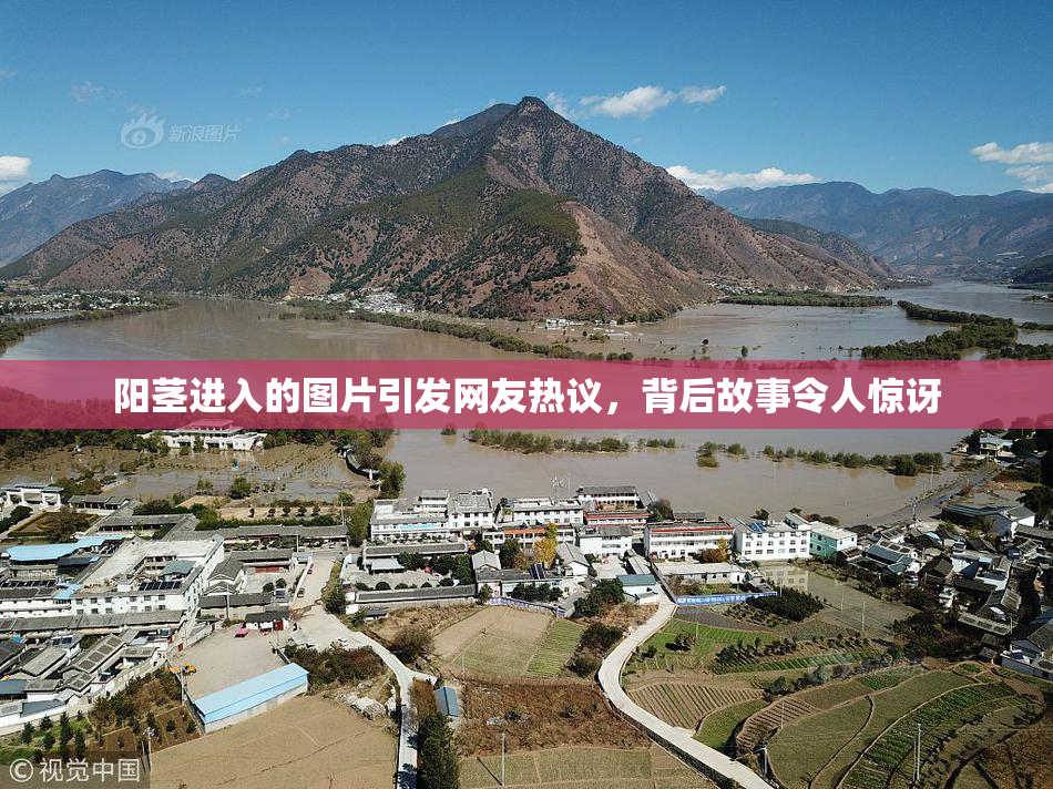 阳茎进入的图片引发网友热议，背后故事令人惊讶
