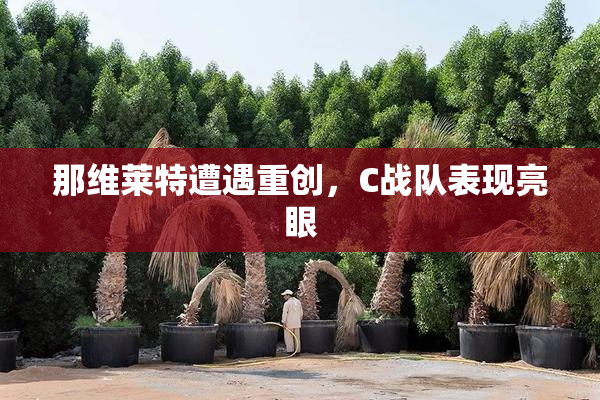 那维莱特遭遇重创，C战队表现亮眼