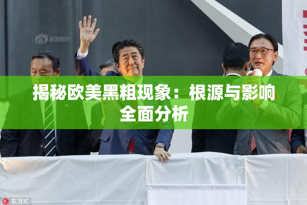 揭秘欧美黑粗现象：根源与影响全面分析
