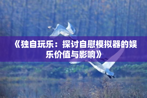 《独自玩乐：探讨自慰模拟器的娱乐价值与影响》