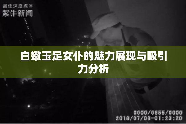 白嫩玉足女仆的魅力展现与吸引力分析