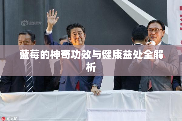 蓝莓的神奇功效与健康益处全解析