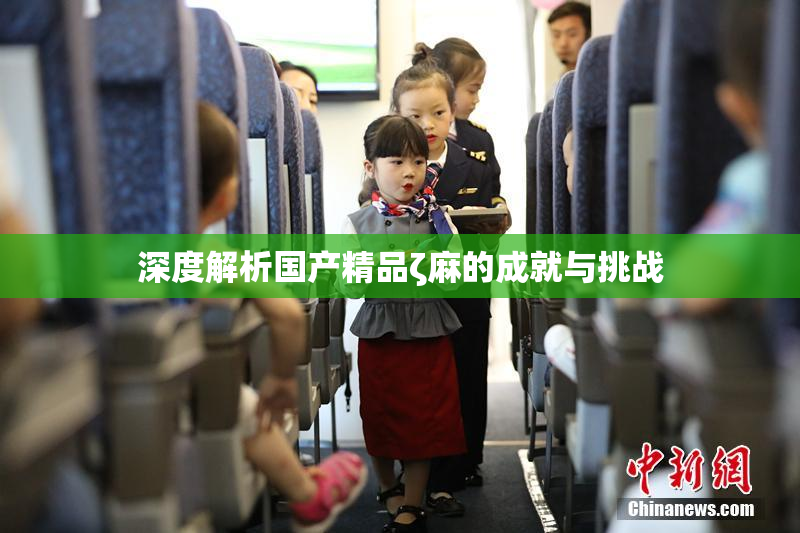 深度解析国产精品ζ麻的成就与挑战