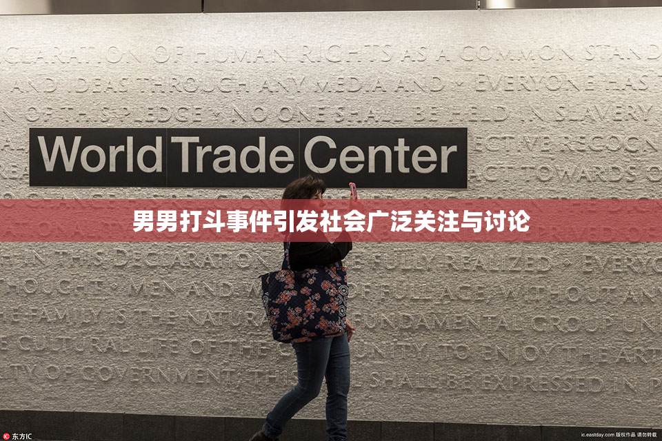 男男打斗事件引发社会广泛关注与讨论