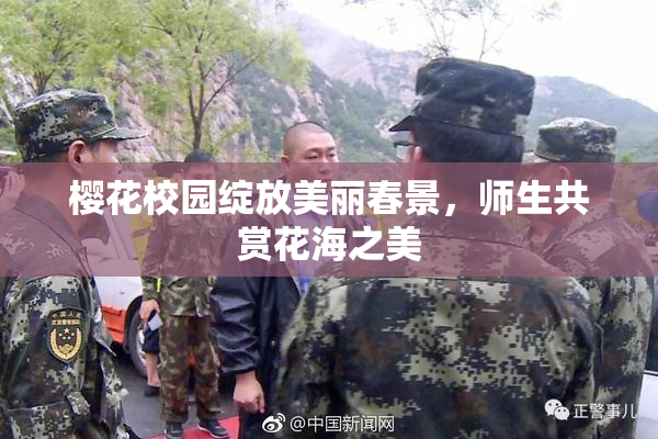 樱花校园绽放美丽春景，师生共赏花海之美