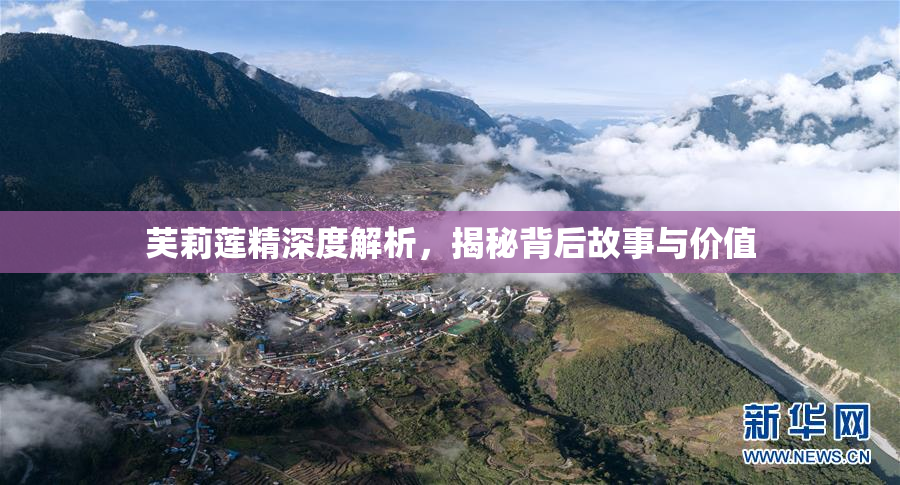 芙莉莲精深度解析，揭秘背后故事与价值
