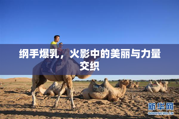 纲手爆乳，火影中的美丽与力量交织