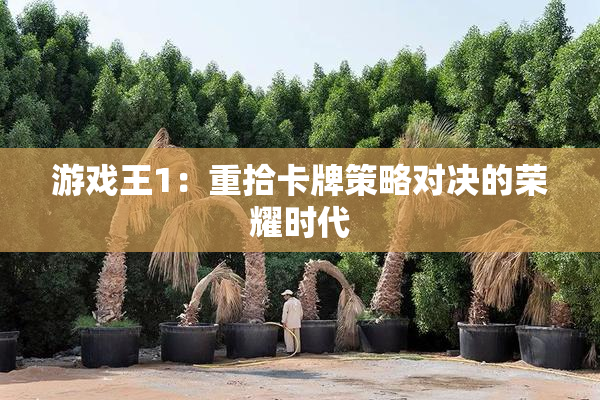 游戏王1：重拾卡牌策略对决的荣耀时代