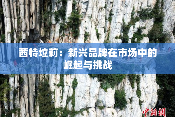 茜特垃莉：新兴品牌在市场中的崛起与挑战
